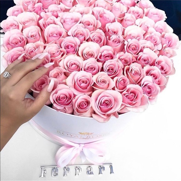 FOLLOW GAME - Picture 2 of 5